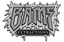 Logo BAMF — cliente Sinapse Social